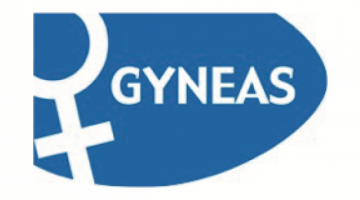 Gyneas logo Meringer.pl